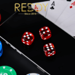 Reddybook Club Review Features, Benefits & Betting Experience